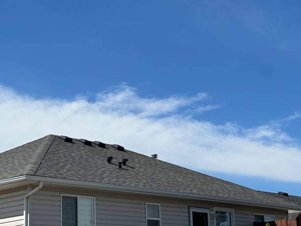 Best Rubber Roofing (EPDM, TPO)  in Phillips, WI